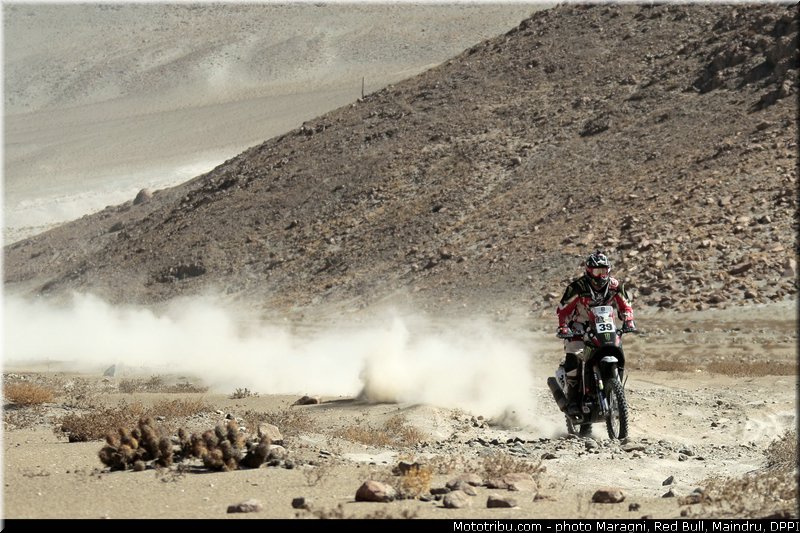 fish_0035_dakar_2013