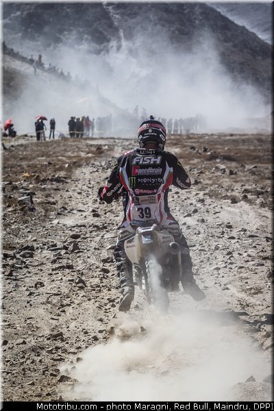 fish_0036_dakar_2013