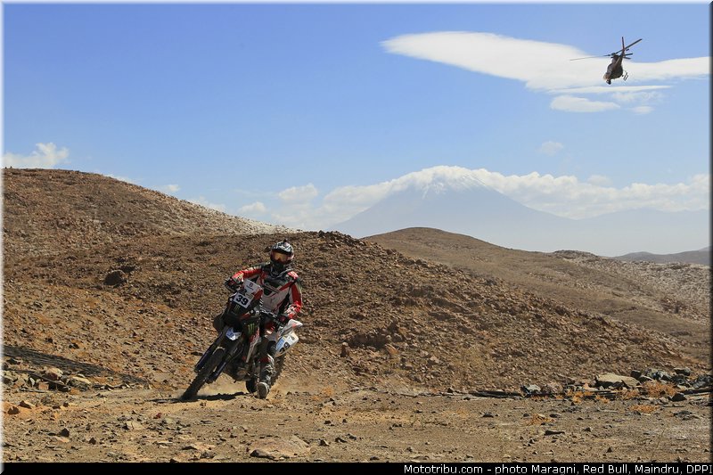 fish_0038_dakar_2013