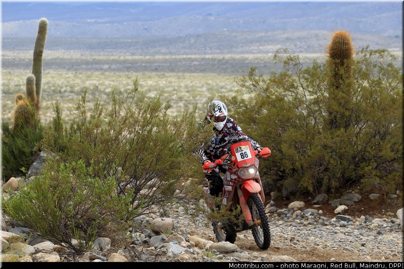 gadioux_0001_dakar_2013
