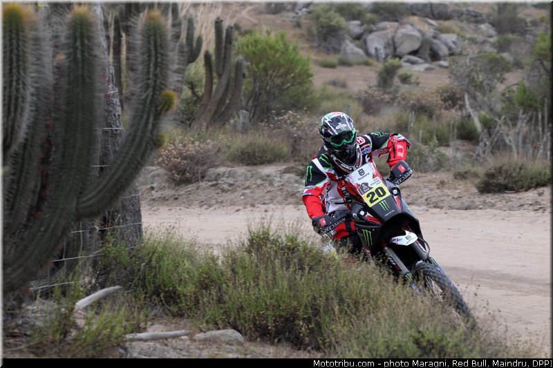 goncalves_0004_dakar_2013