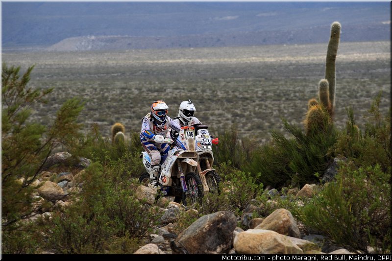 martens_napodano_0001_dakar_2013