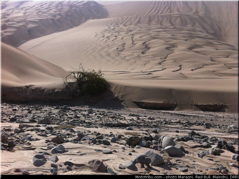 reconnaissance_0003_dakar_2013