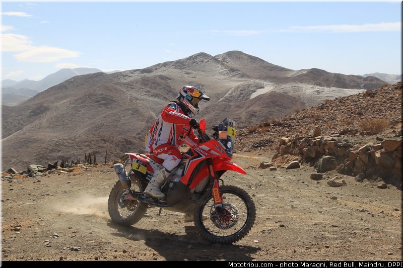 rodrigues_0032_dakar_2013