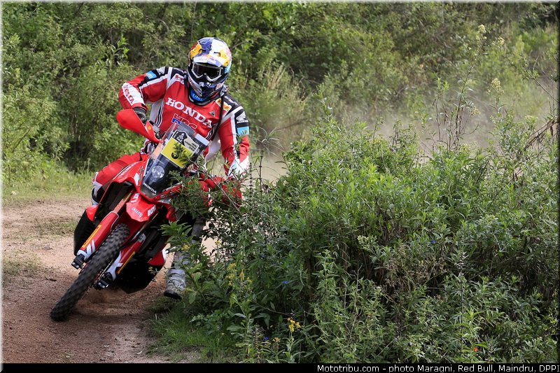 rodrigues_0036_dakar_2013