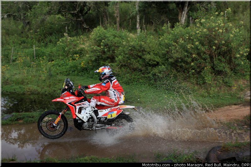 rodrigues_0038_dakar_2013