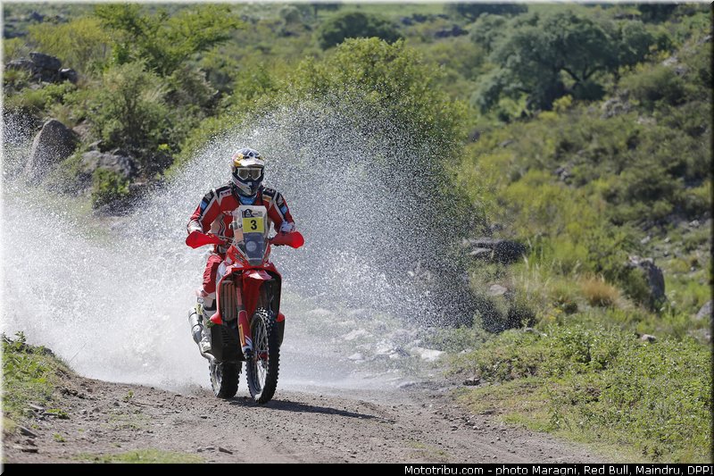 rodrigues_0042_dakar_2013
