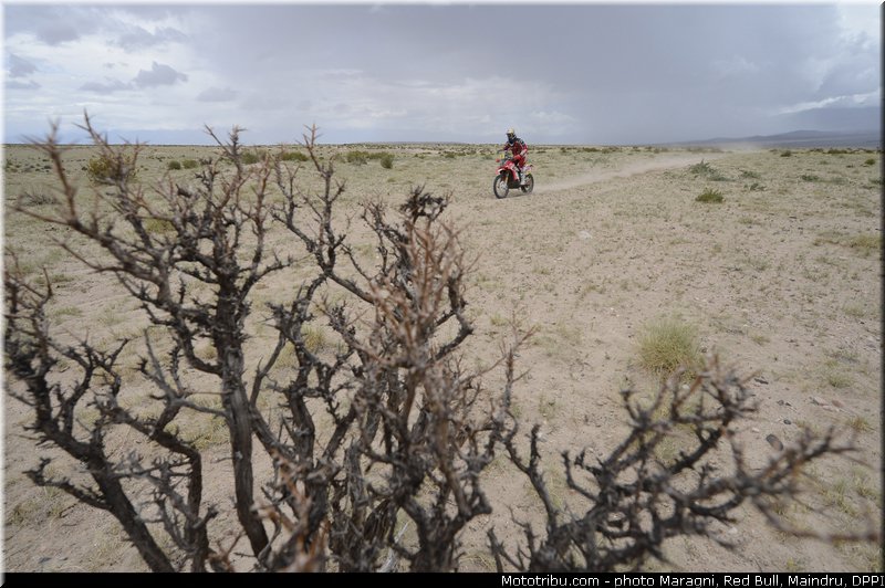 rodrigues_0066_dakar_2013