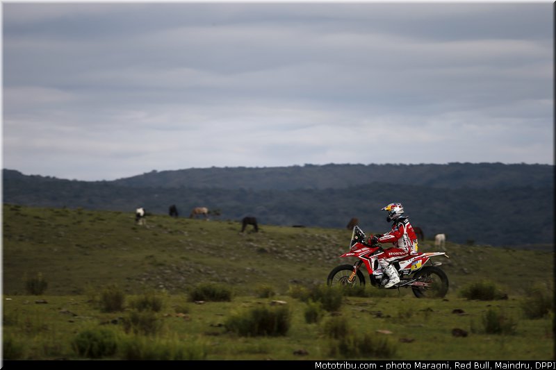 rodrigues_0089_dakar_2013