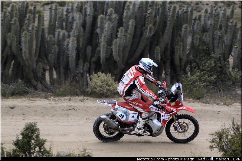 rodriguez_p_0001_dakar_2013