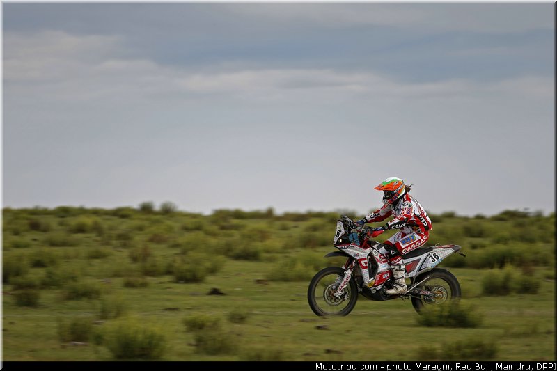 sanz_0005_dakar_2013