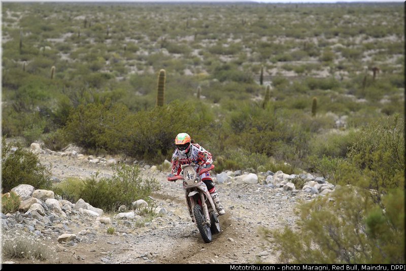 sanz_0009_dakar_2013
