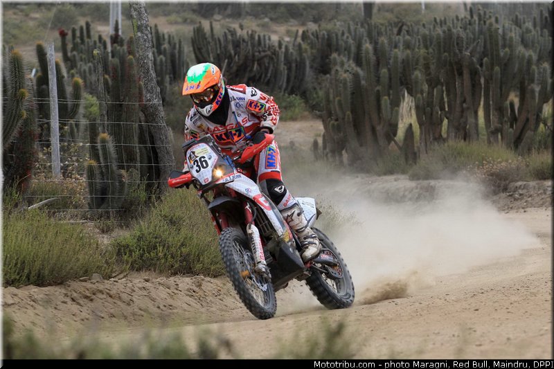 sanz_0018_dakar_2013
