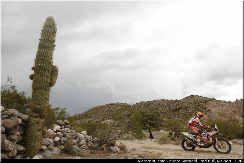 sanz_0033_dakar_2013