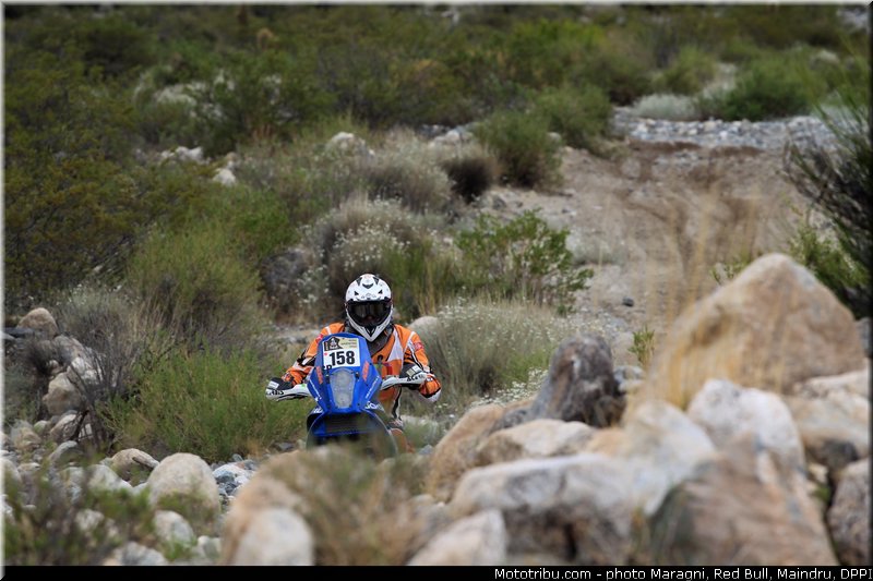 vellutino_0001_dakar_2013