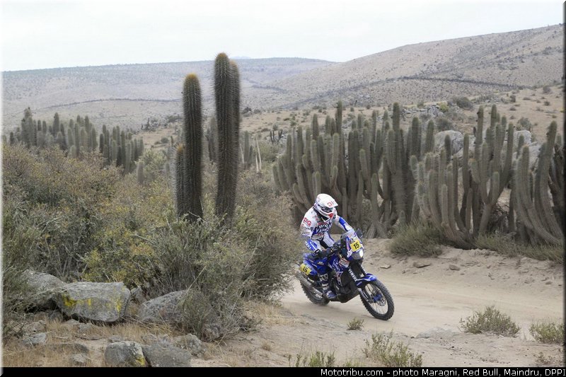 verhoeven_0041_dakar_2013