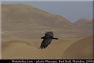 0036_dakar_2013.jpg