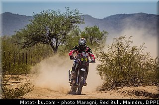 barreda_0034_dakar_2013.jpg