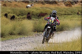 barreda_0099_dakar_2013.jpg