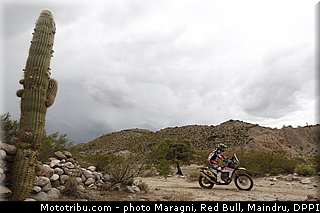 botturi_0073_dakar_2013.jpg