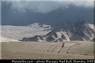 campbell_0012_dakar_2013.jpg