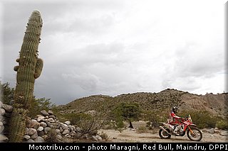 campbell_0040_dakar_2013.jpg