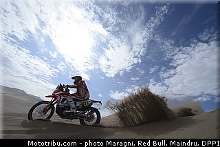 campbell_0066_dakar_2013.jpg