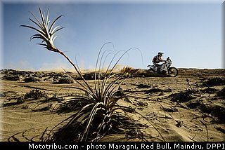 carillon_0002_dakar_2013.jpg