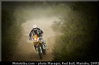 caselli_0016_dakar_2013.jpg