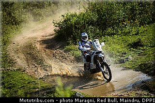 curtis_0010_dakar_2013.jpg