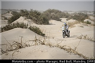 curtis_0012_dakar_2013.jpg