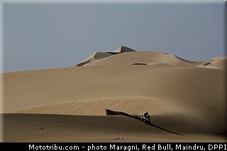 fish_0001_dakar_2013.jpg
