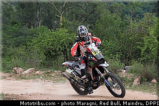 fish_0002_dakar_2013.jpg