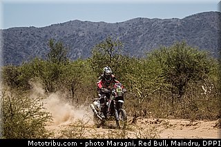 fish_0007_dakar_2013.jpg