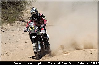 fish_0009_dakar_2013.jpg