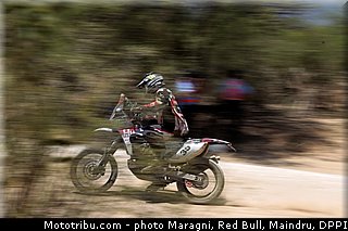 fish_0011_dakar_2013.jpg