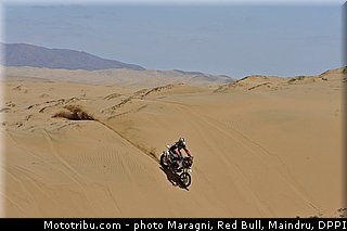 fish_0017_dakar_2013.jpg