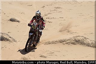fish_0022_dakar_2013.jpg