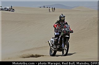 fish_0024_dakar_2013.jpg