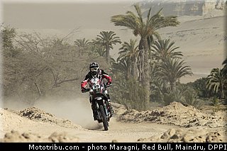 fish_0026_dakar_2013.jpg