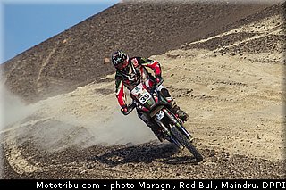 fish_0029_dakar_2013.jpg
