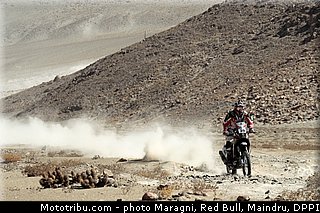 fish_0035_dakar_2013.jpg