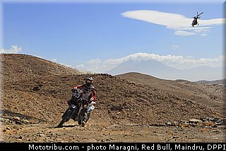 fish_0038_dakar_2013.jpg