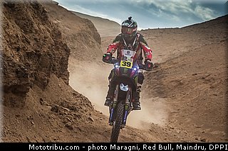fish_0039_dakar_2013.jpg