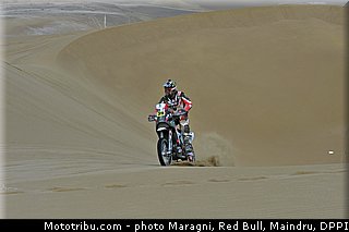 fish_0043_dakar_2013.jpg