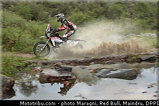fish_0052_dakar_2013.jpg