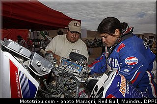 gardulski_0003_dakar_2013.jpg
