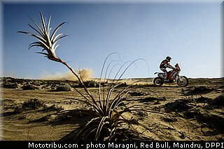 graham_0006_dakar_2013.jpg