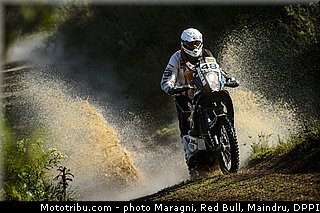 liefhebber_0001_dakar_2013.jpg