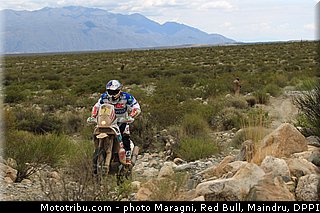 lopez_0007_dakar_2013.jpg